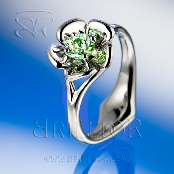 Bellis Perennis G ring