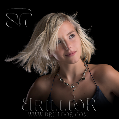 Whirlpool L earrings