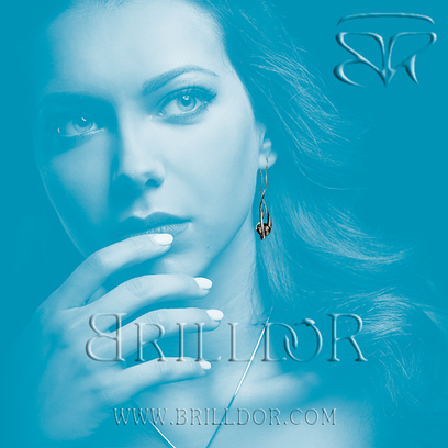 Whirlpool L earrings