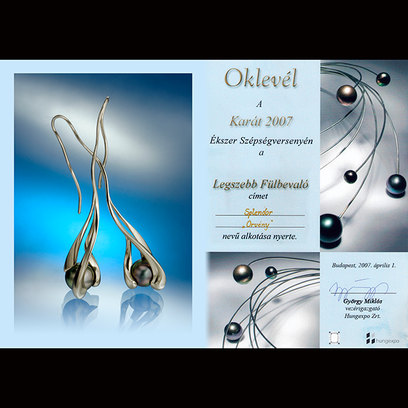 Whirlpool L earrings