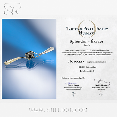 Captured in Ice brooch